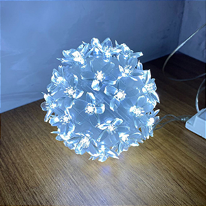 Globo Com 100 Lampadas Pisca Pisca Luz De Led Flor Tomada Tam. Médio - Imagem 2